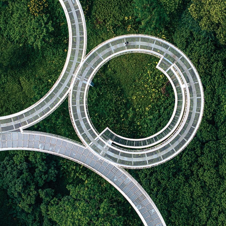 Aerial view of the three large rings of Dadingling Greenway’s Floating Bridge over a forest.