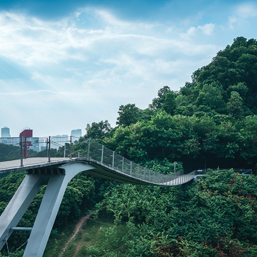 The Hanging Bridge at Dadingling Greenway.