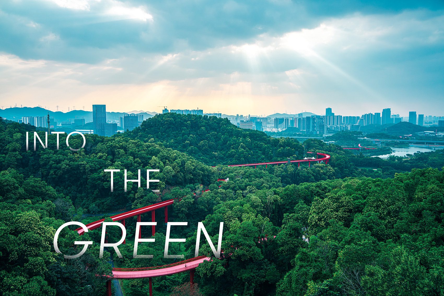 Dadingling Greenway’s Rainbow Bridge winding through the forest, with Shenzhen’s skyscrapers in the background.