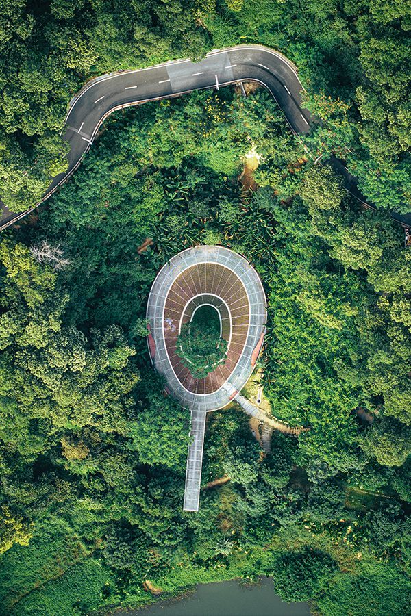 Aerial view of Dadingling Greenway’s Discovery Bridge over a forest. 