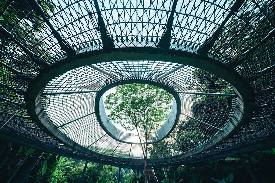 A view of Dadingling Greenway’s Discovery Bridge from below.