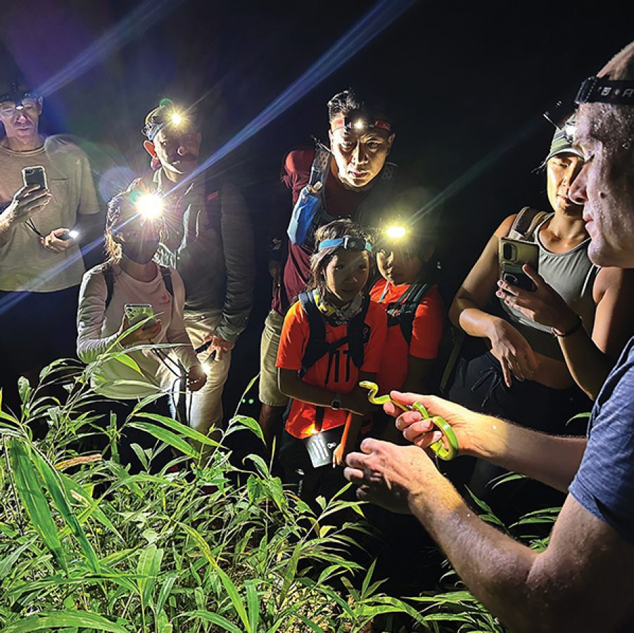 A group of people on a snake safari, wearing headlamps and pointing their phones at a snake William Sargent is holding. 