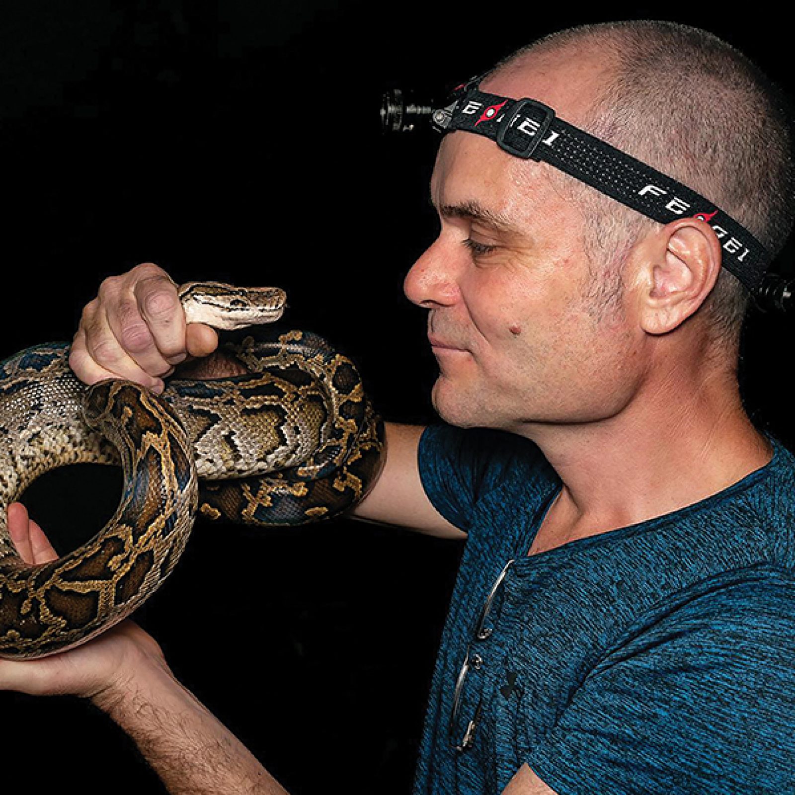 William Sargent with a headlamp on, holding a snake by its neck close to his face.