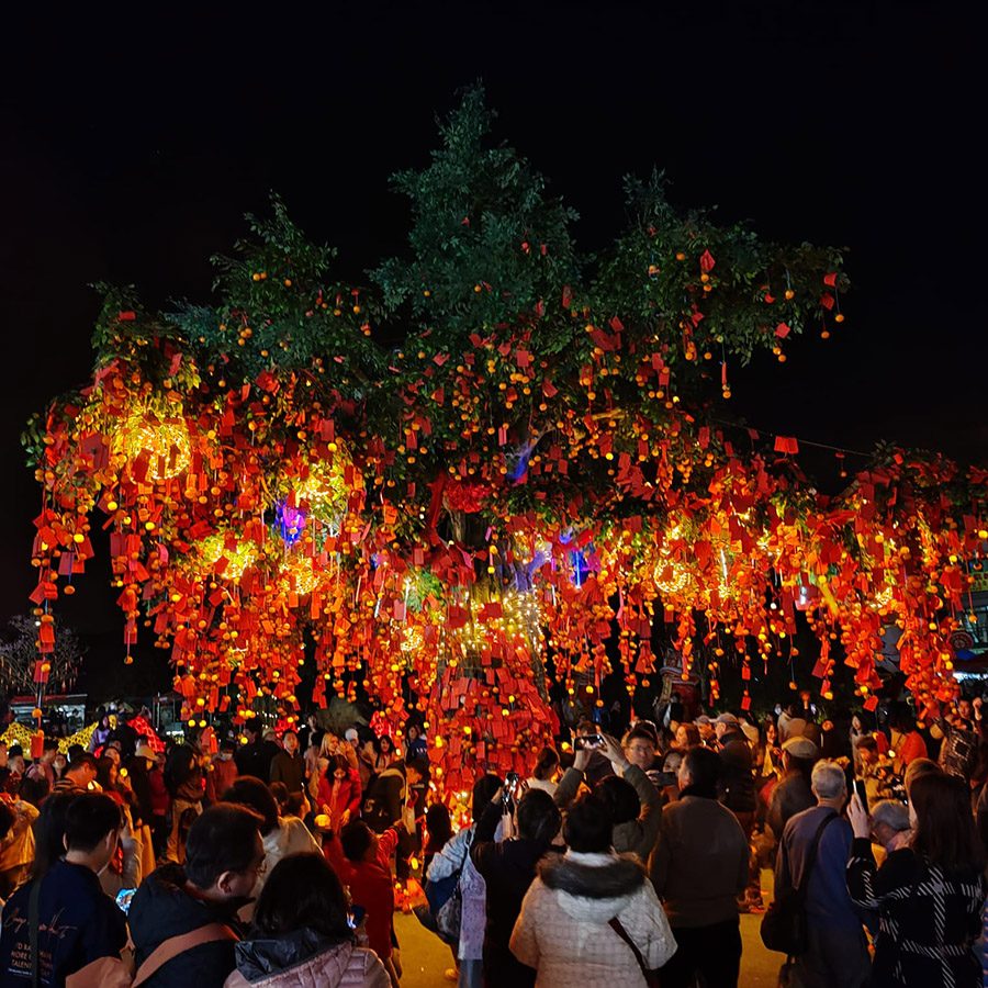 Orange tree in Hong Kong covered in wishes.