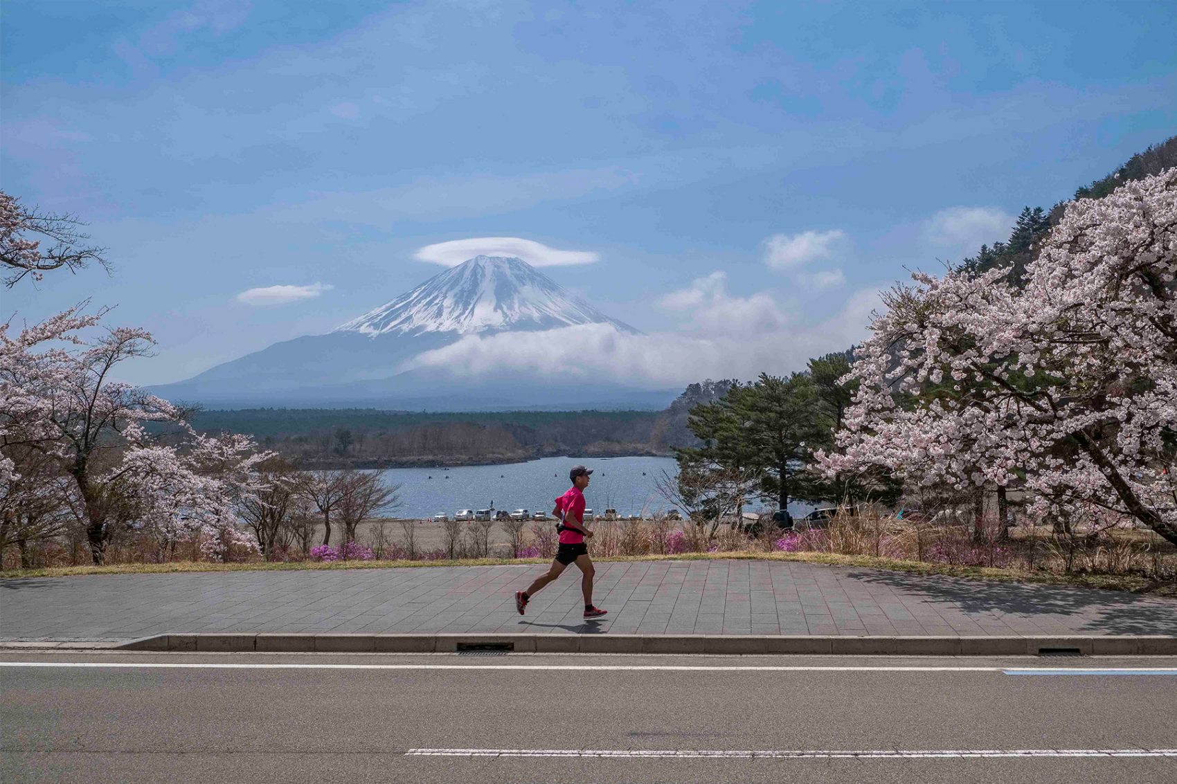 A man running on the Mount Fuji Marathon course with a view of Sakura blossoms and Mount Fuji in Japan on a clear day