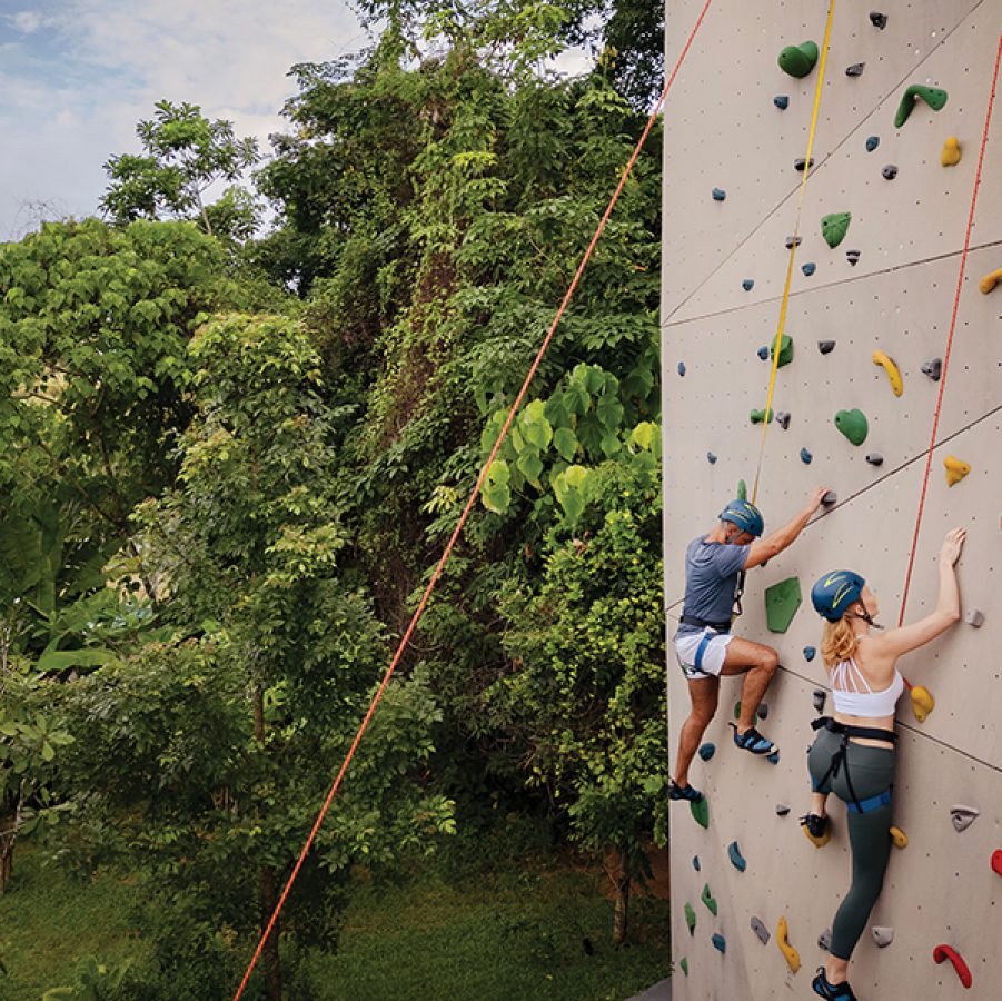 A man and woman wearing a harnest, helmet and safety gear while wall climbing outdoors surrounded by trees during daytime