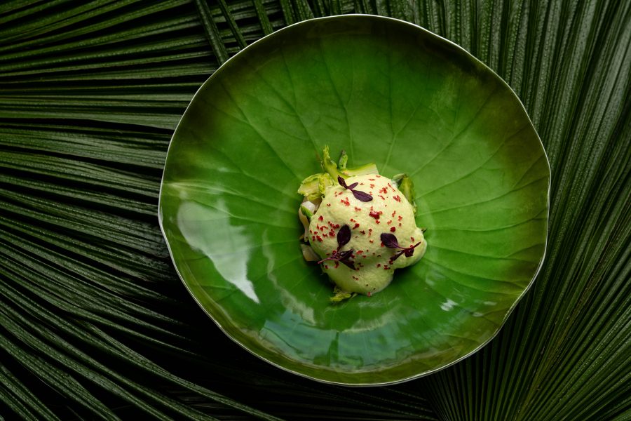 Food on a green plate at OPUS 388.