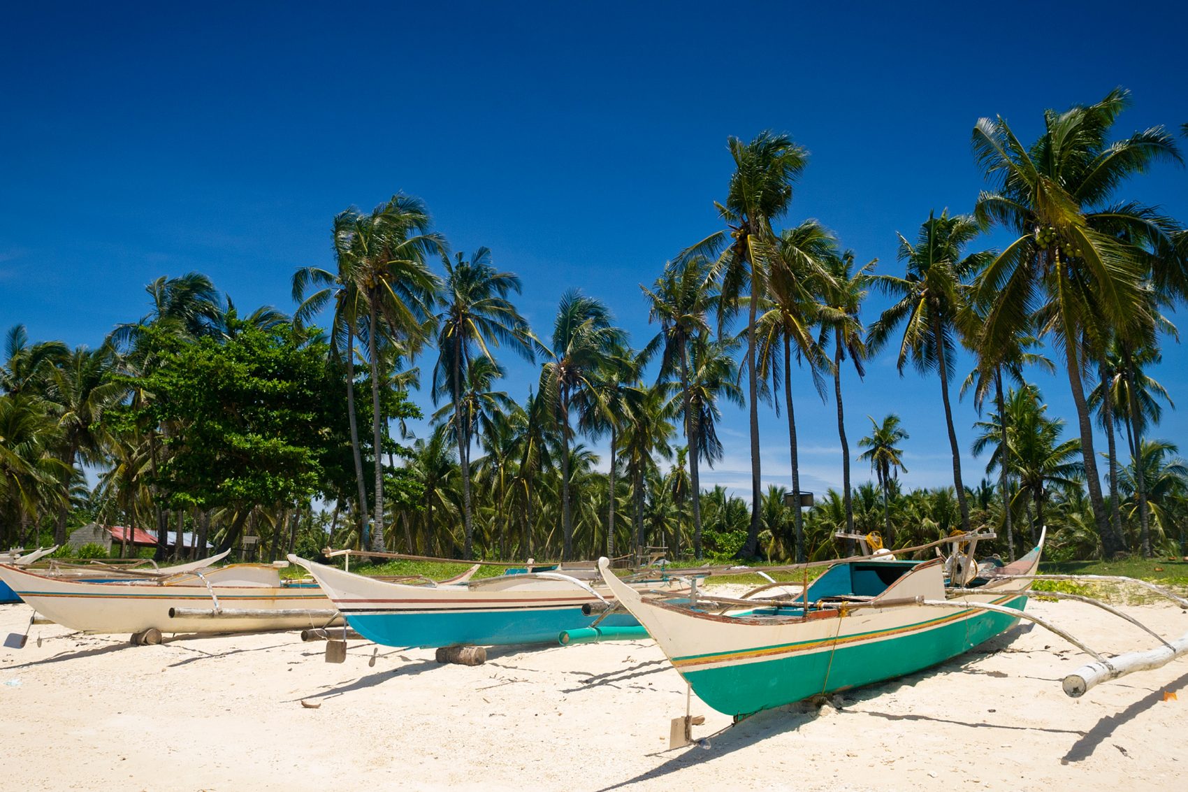 Long boats on a beach in the Philippines with palm trees and blue sky in the backdrop