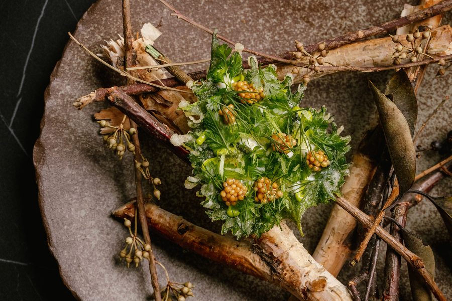 Detail shot of a fine dining dish at Feuille featuring foliage and twigs