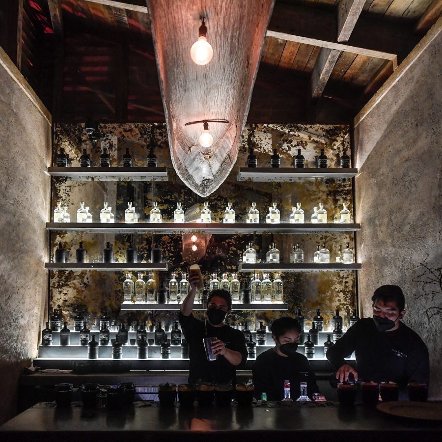 A view of the shelves at Casa Silencio’s bar.