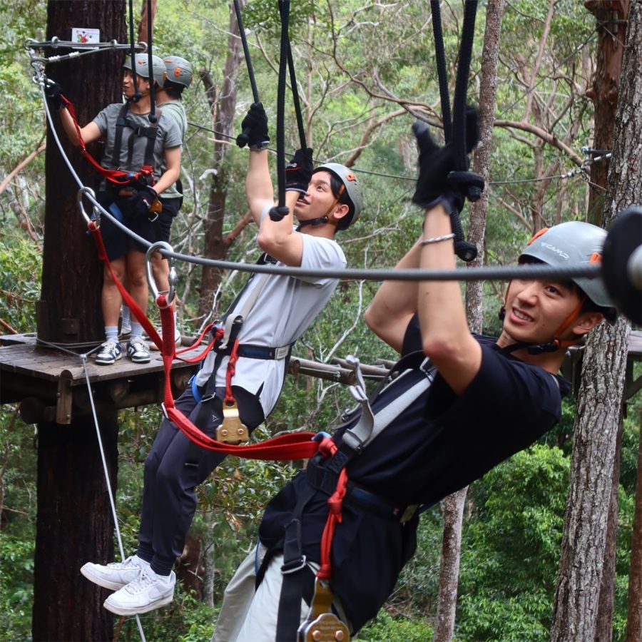 A group of people walk across a tight line on a tree-top obstacle course. 