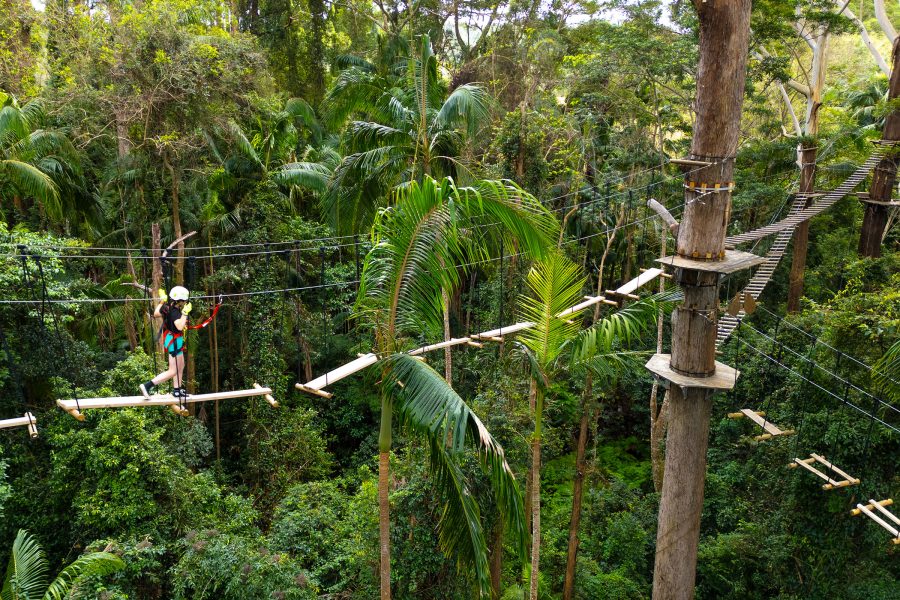 A person walks across a tree-top obstacle course.