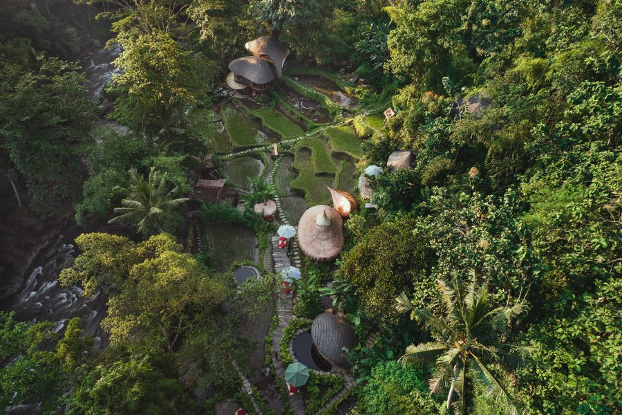 Aerial view of trees and terraced fields at Bambu Indah, Bali, in the daytime. 
