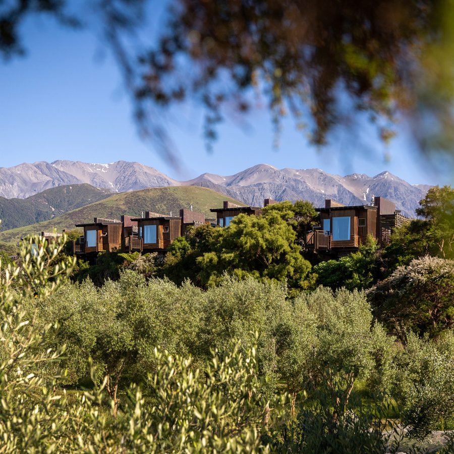 Tree Houses at Hapuku Lodge, Kaikoura, with a view of the mountains in the distance. 