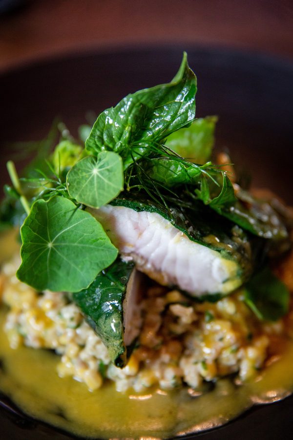 A fish dish garnished with greens, served at Hapuku Lodge, Kaikoura. 