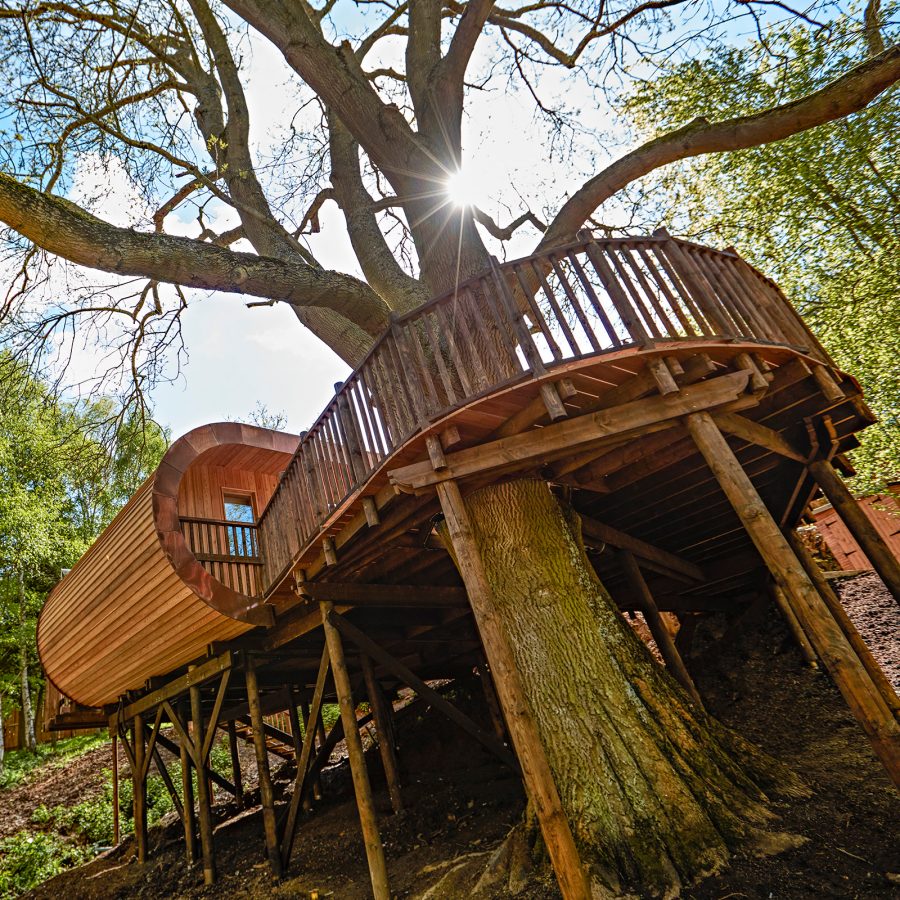 A treehouse at The Fish Hotel in the Cotswolds with a terrace wrapped around a tree.