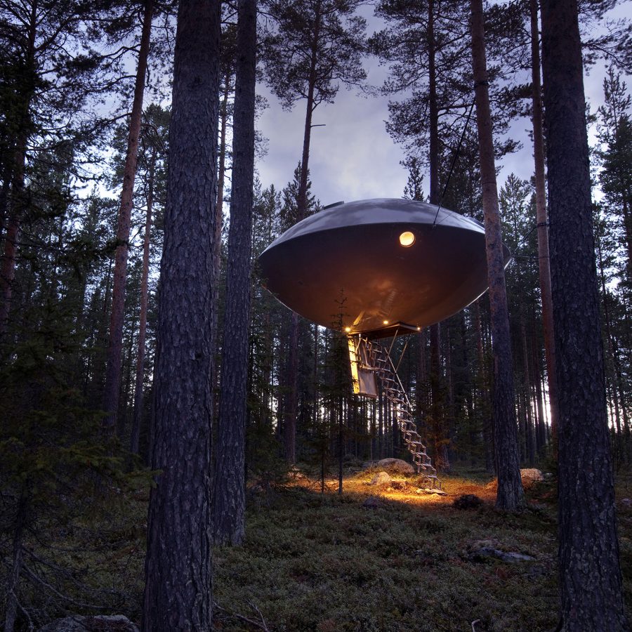 A view of the Ufo capsule at Tree Hotel in Sweden at night, suspended between tall trees in a forest.