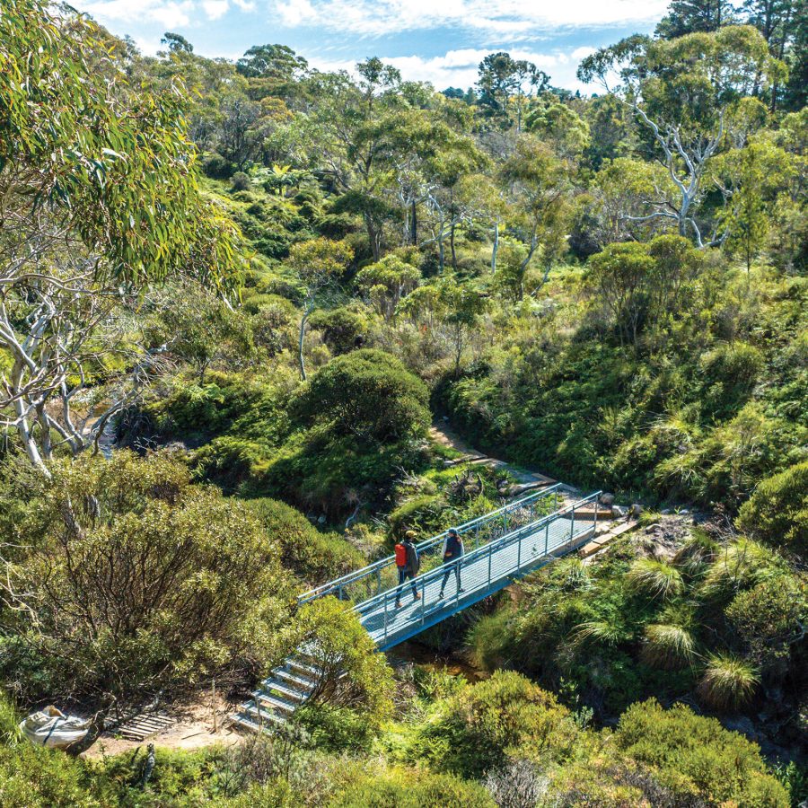 Two people crossing a blue bridge along Darwin’s Walk in the Blue Mountains National Park in Australia.