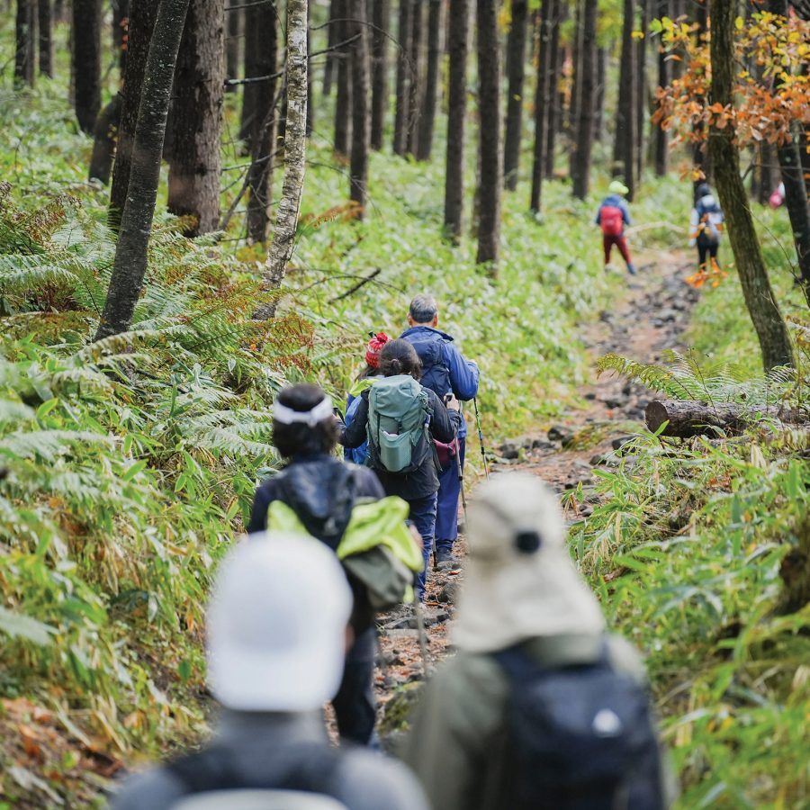 A group of hikers trekking in the forest during daytime in the Japanese alps at Shishi-Iwa
