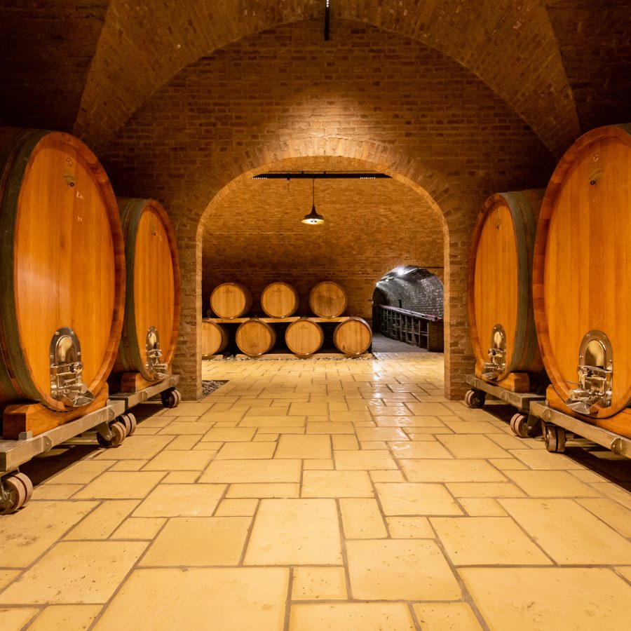 Inside a brightly lit cellar, a wide stone path is lined on either side by large wooden barrels, at Domaene Gobelsburg winery in Danube, Austria.  