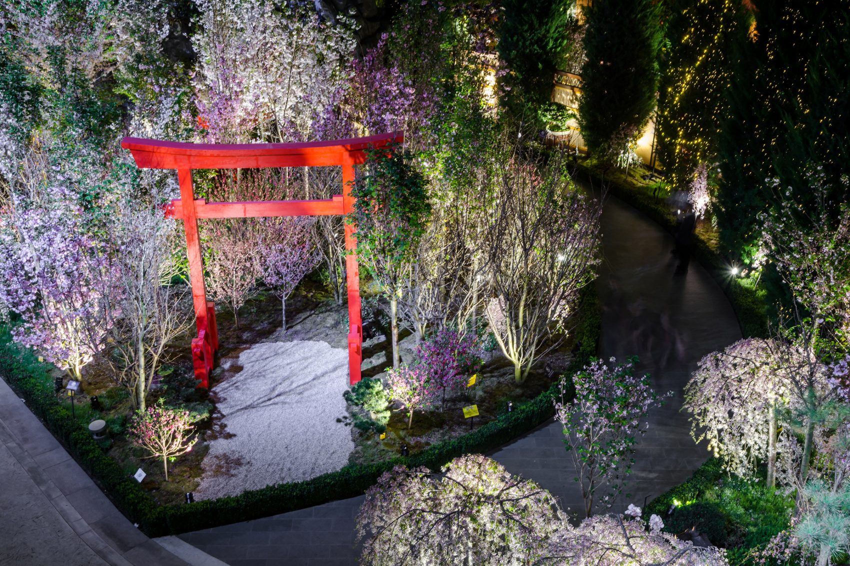 The annual Sakura festival at Singapore’s Gardens by the Bay showcases a red torii gate among a garden of sakura and other plants.