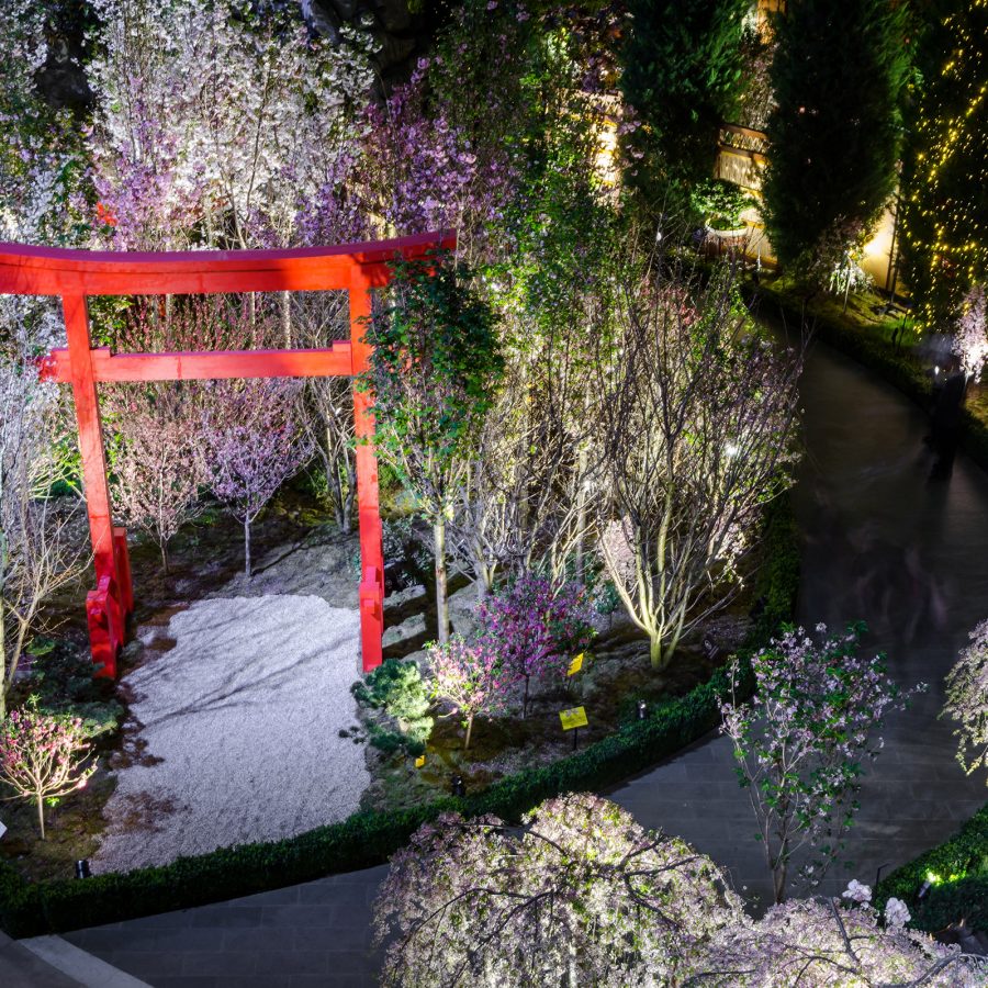 The annual Sakura festival at Singapore’s Gardens by the Bay showcases a red torii gate among a garden of sakura and other plants.