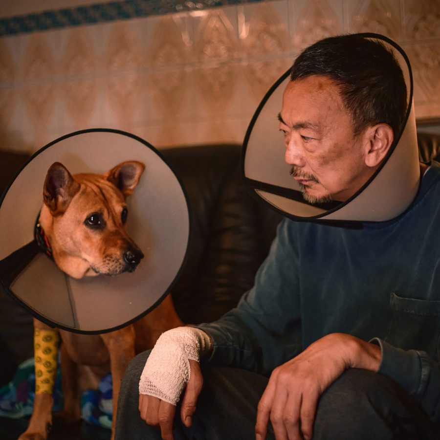 In a scene from A Complete Unknown, elderly man Kai (Lawrence Cheng) sits next to a large dog. Both are wearing medical pet cones and are looking gloomily at one another. 