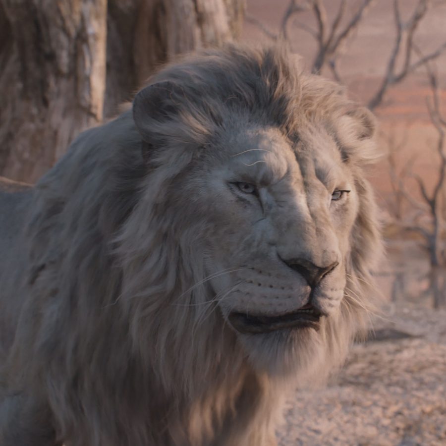 A scene from Mufasa: The Lion King shows a large golden lion surrounded by leafless trees, at sunset. 