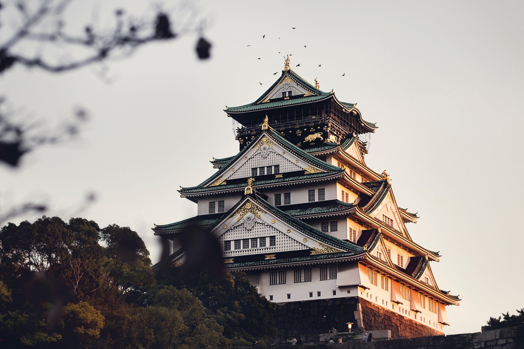 Birds fly over Osaka Castle in Japan