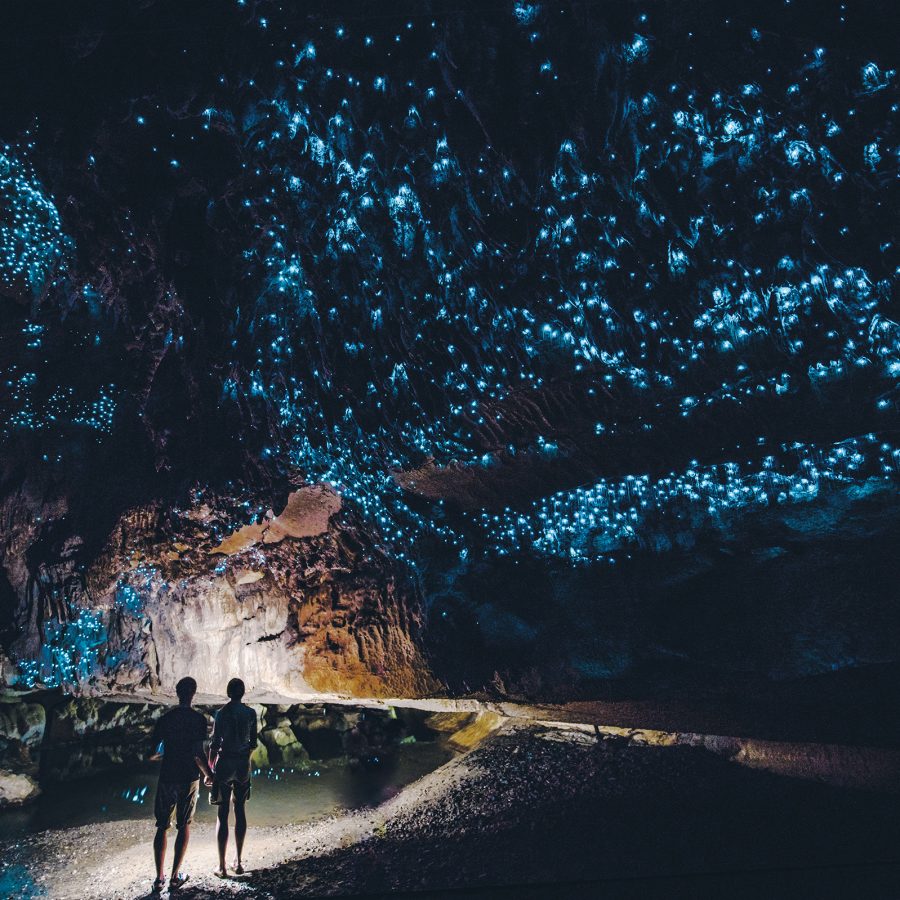 Two people walk through the Waitomo Glow Caves and the glowing blue worms across the ceiling.