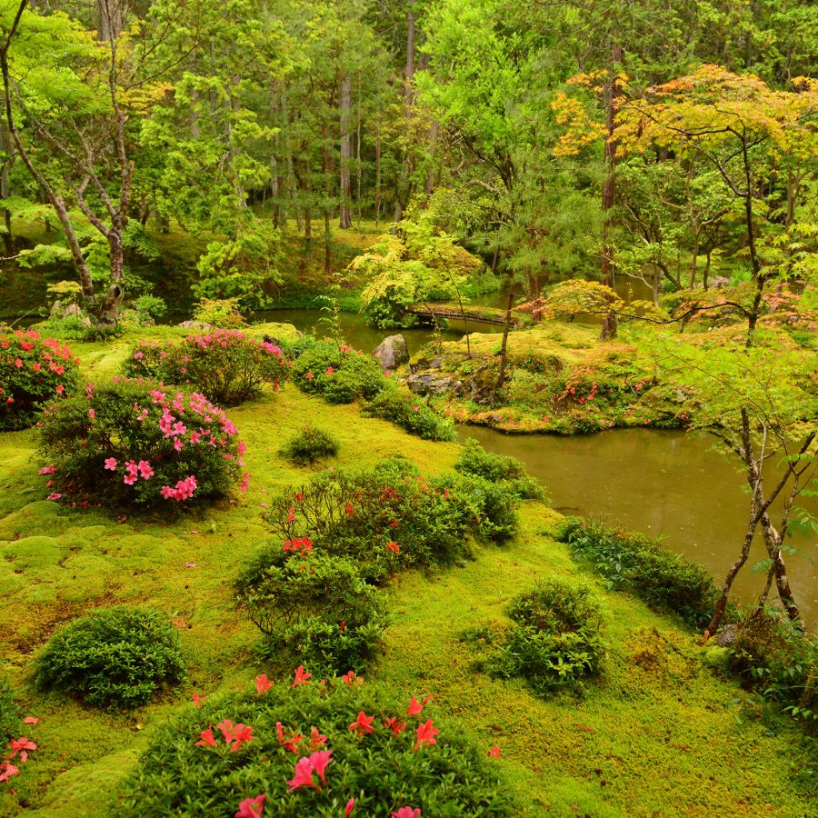 A view of Saiho ji garden in Saihōji (Kokedera) Temple in Kyoto in daylight.