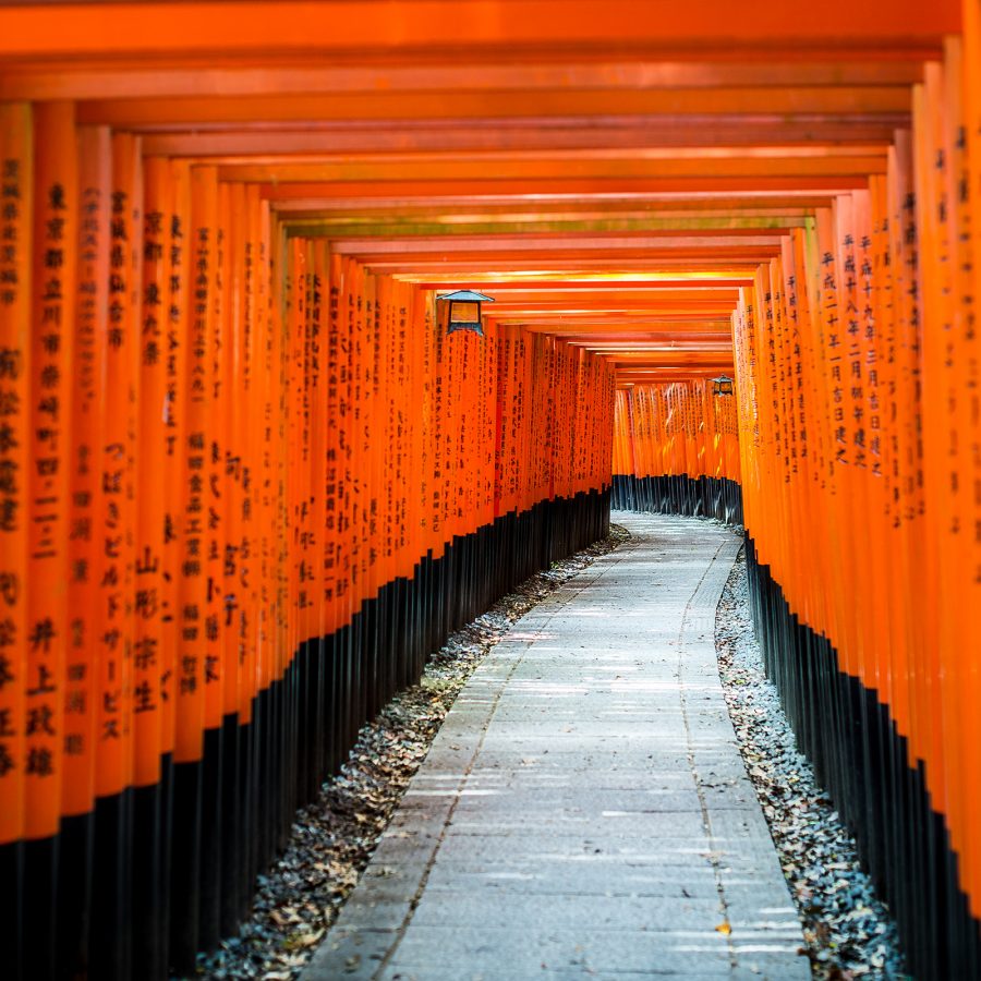 A view along the path of the Fushimi Inari Taisha shrine’s orange torii gates during daytime.
