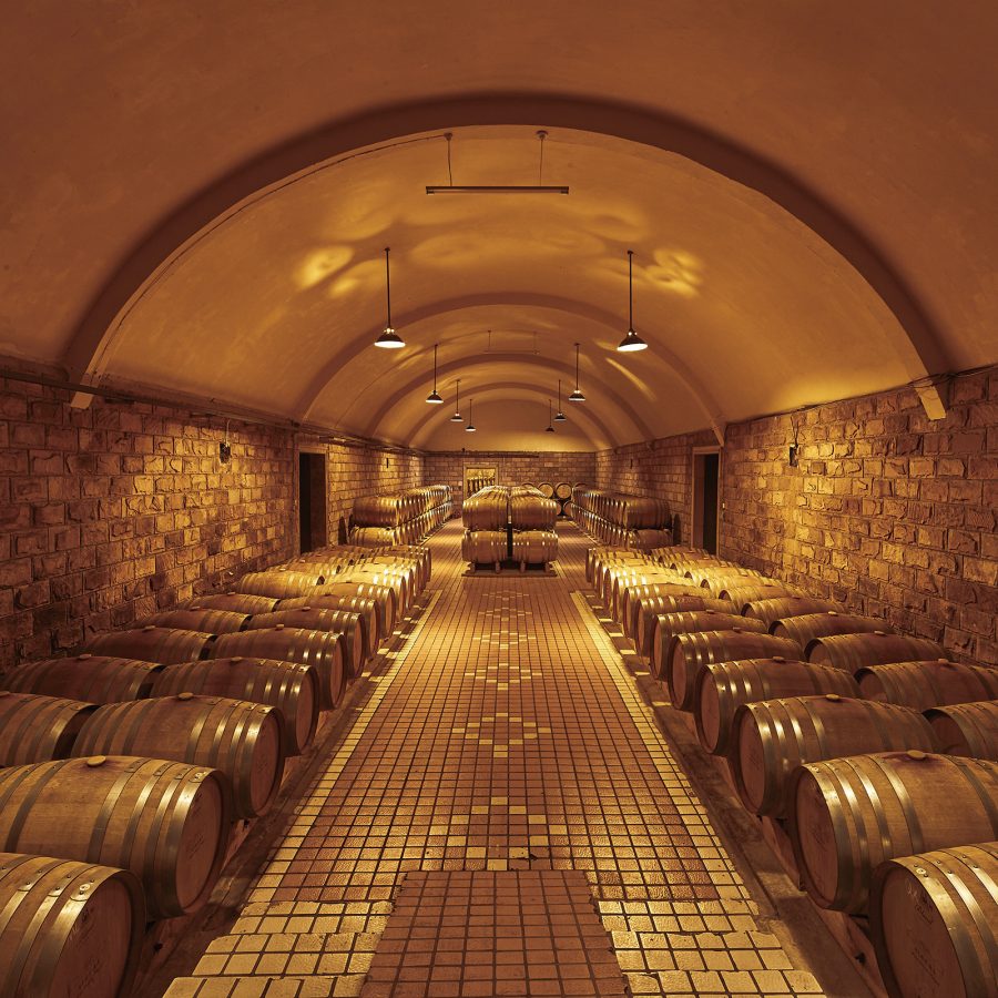 An interior view of the golden wine cellar at Kanaan Winery in Ningxia, filled with rows of wine barrels.