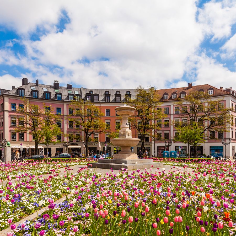 Fields of flowers and a fountain in the Gaertnerplatz roundabout in Munich.
