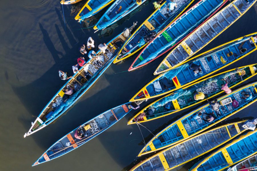 A drone shot of several blue long boats grouped together