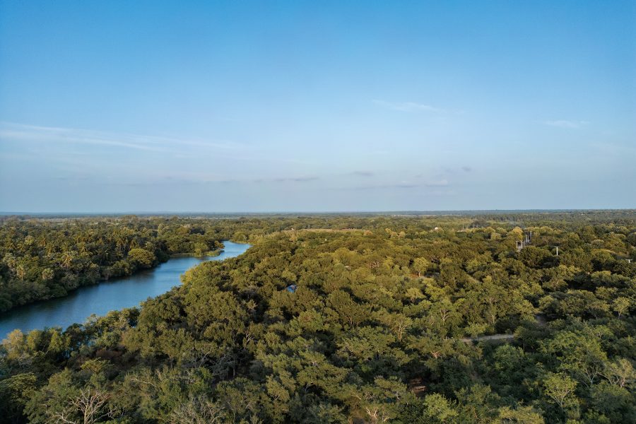 A bird’s eye view of a forest and river in North Sri Lanka during a clear day