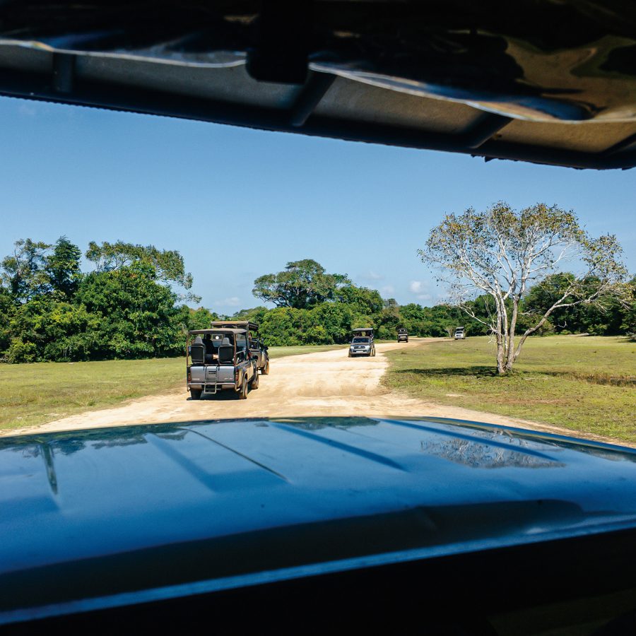 Jeeps driving on the road at Wilpattu National Park during a safari visit in North Sri Lanka