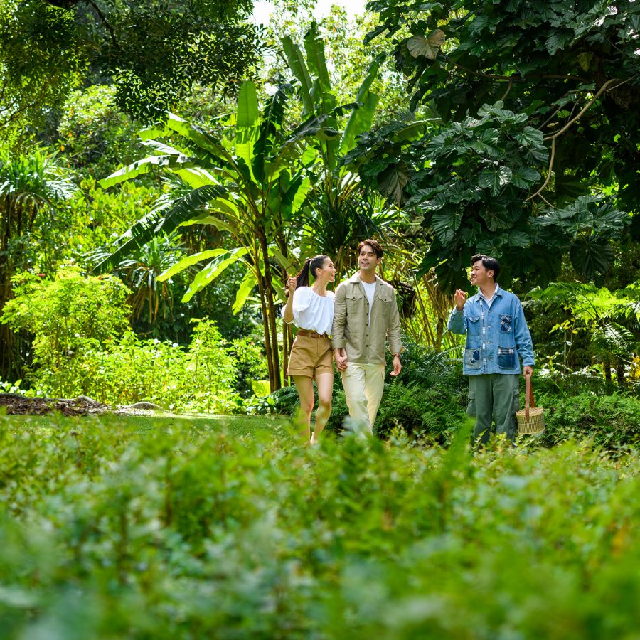  A couple walking through the Singapore Botanic Gardens with an arborist. 