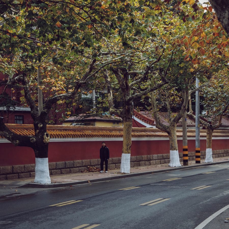 Exterior view of Daxue Road, Qingdao, with a man walking past a red wall with tress lining the road.