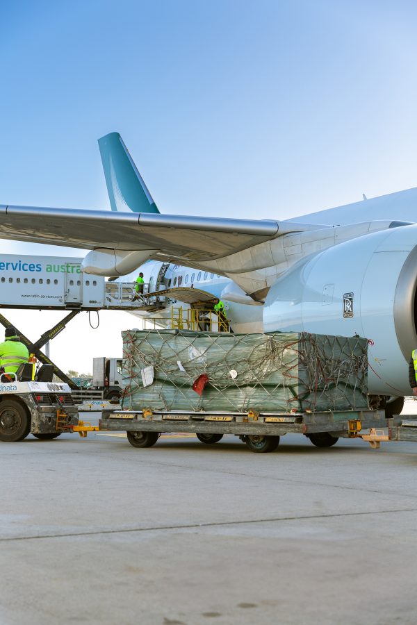 A large container carrying valuable artefacts is wheeled next to a Cathay Pacific aircraft