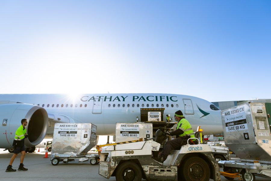 Airport staff move boxes of artefacts onto a Cathay Pacific aircraft. 