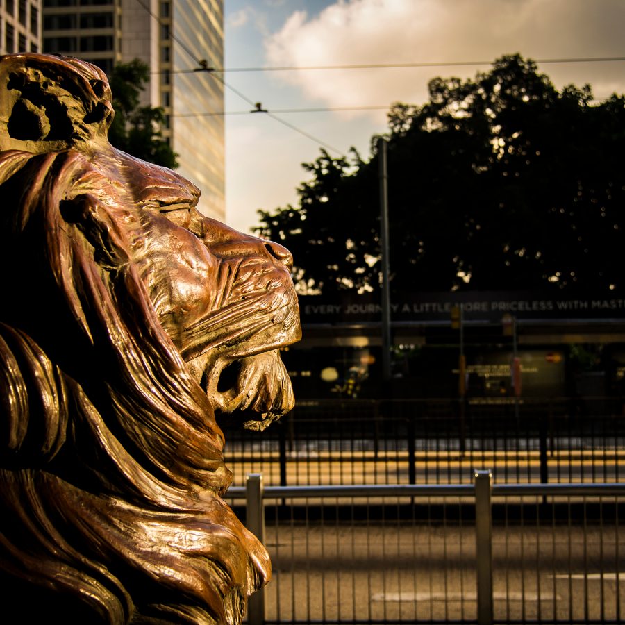 One of HSBC’s lion statues appears to gaze into the distance.