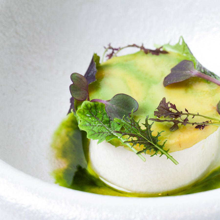 A closeup of a tofu dish served at Mora.