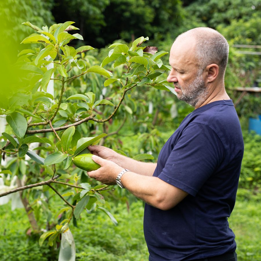 Chef Simon Rogan picking plants and vegetables at a farm on a sunny day.