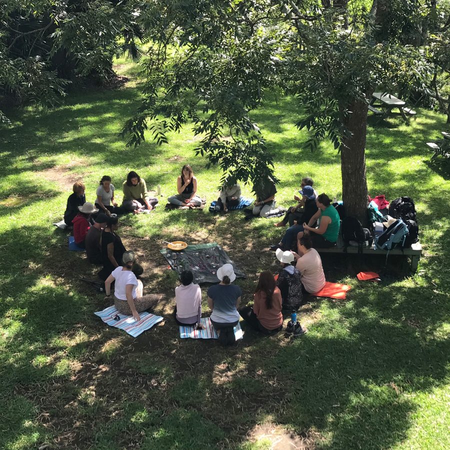 People sitting on a grassy field in a circle under the shade of a tree. 
