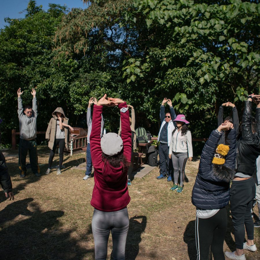 People stretching on a grassy field surrounded by trees.