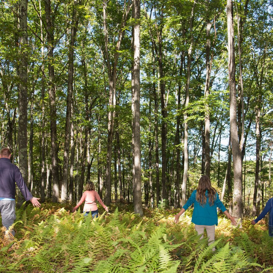People touching fern leaves as they walk through a forest at The Lodge at Woodloch.