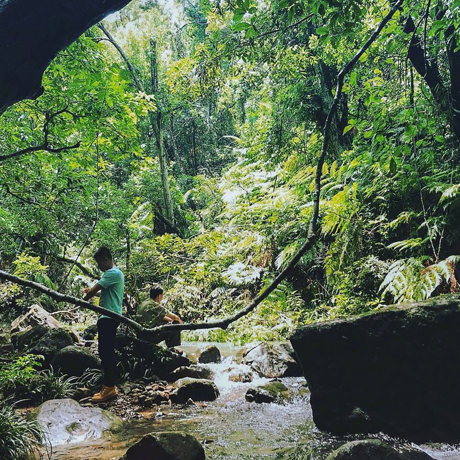 Two people by a stream at Tai Po Kau Nature Reserve.