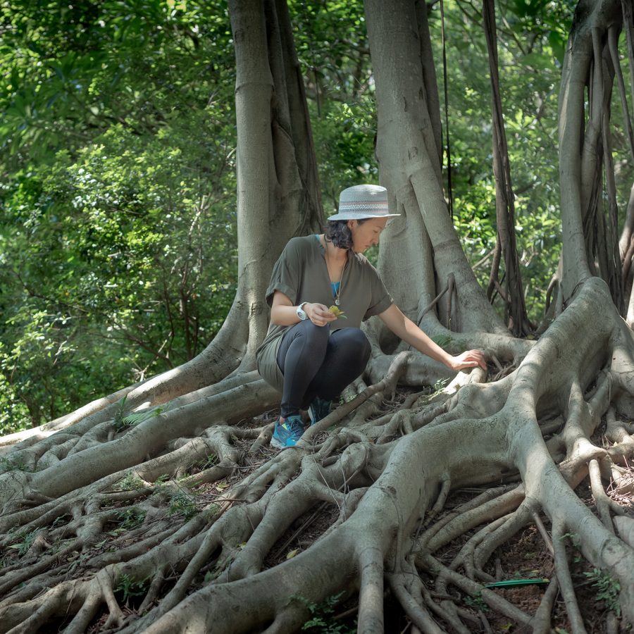 Woman sits at the base of a tree inspecting roots in the middle of a forest.