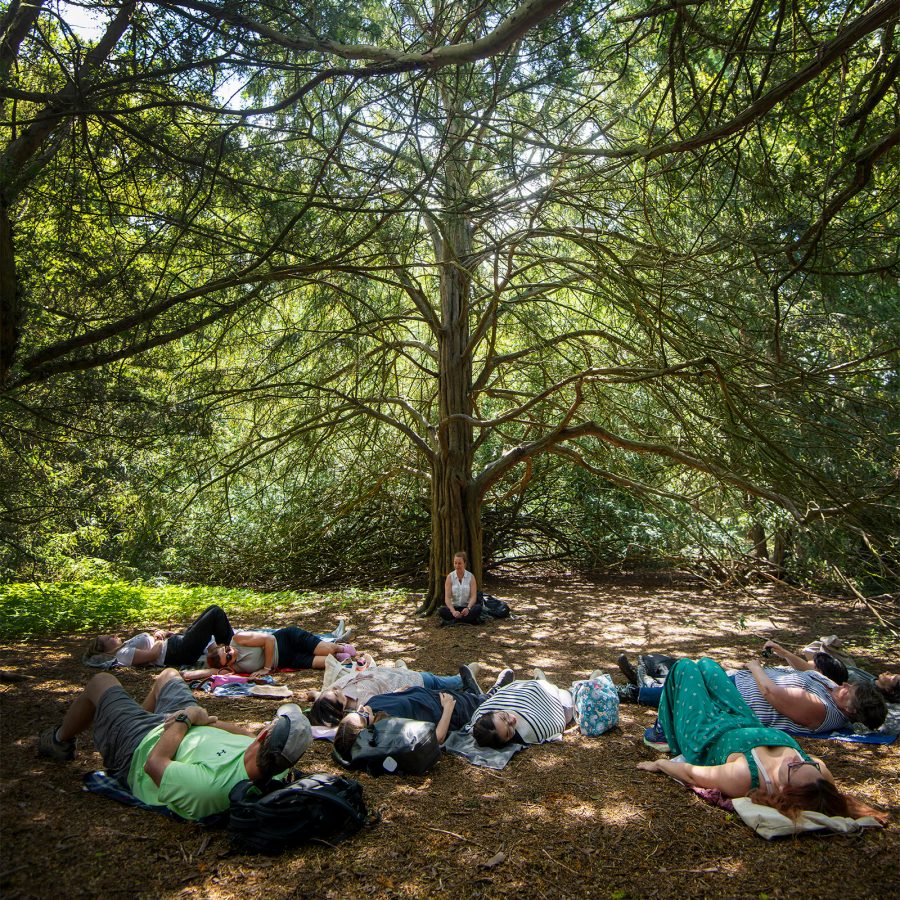 Woman sits at the base of a tree as people lie on their backs in the middle of Kew Gardens.